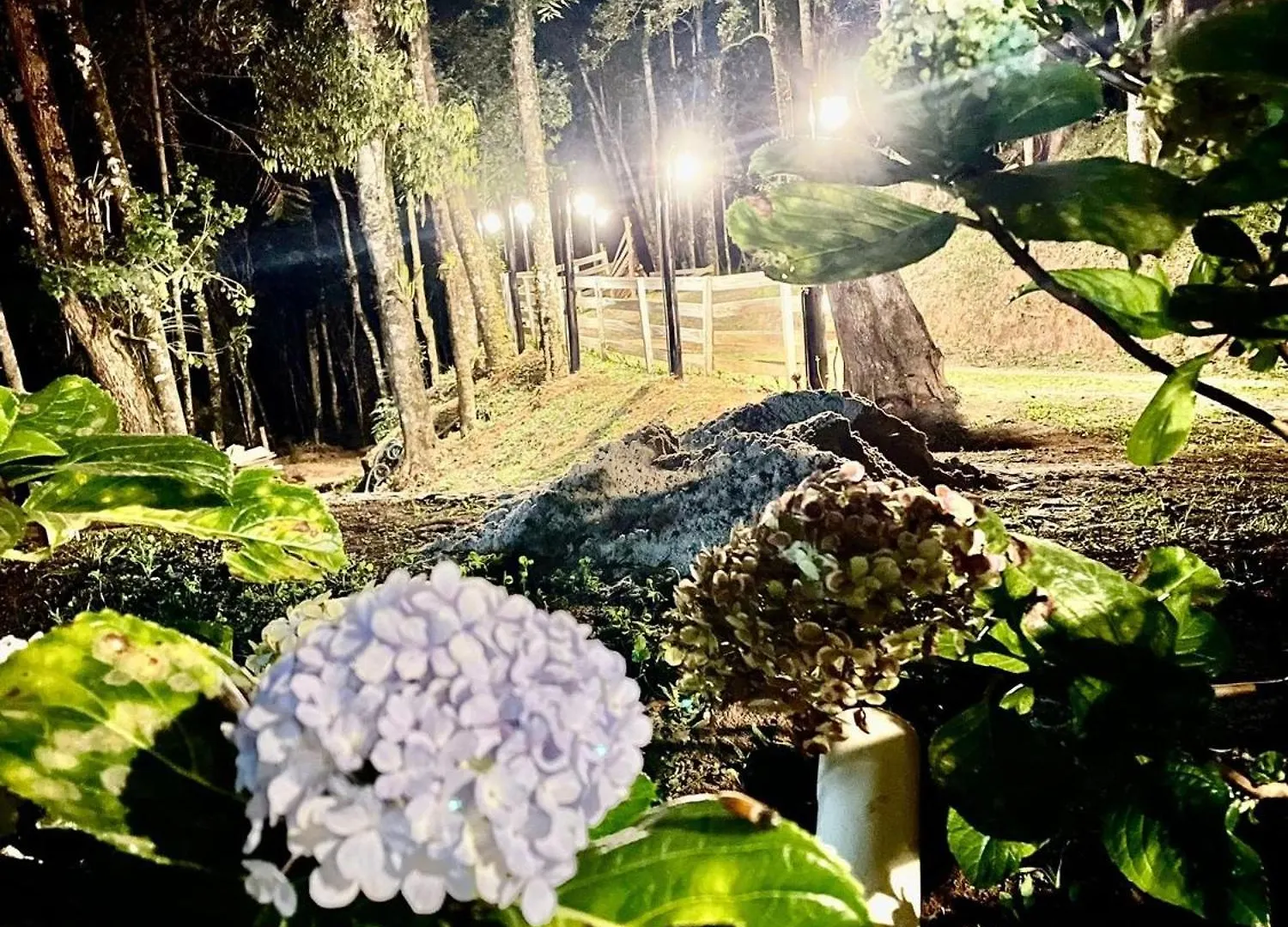 Campos do Jordão La Catedral Chales בקתה